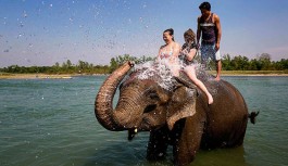 Things to do in Kerala, when visiting for the first time Things to do in Kerala, when visiting for the first time