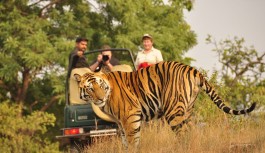 10 Point Packing Checklist When Going on Jungle Safari 10 Point Packing Checklist When Going on Jungle Safari