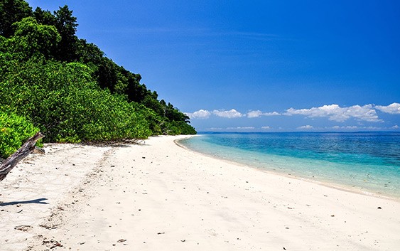 Radhanagar-Beach