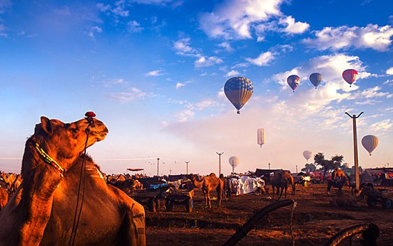 Riding-in-a-balloon-at-Pushkar